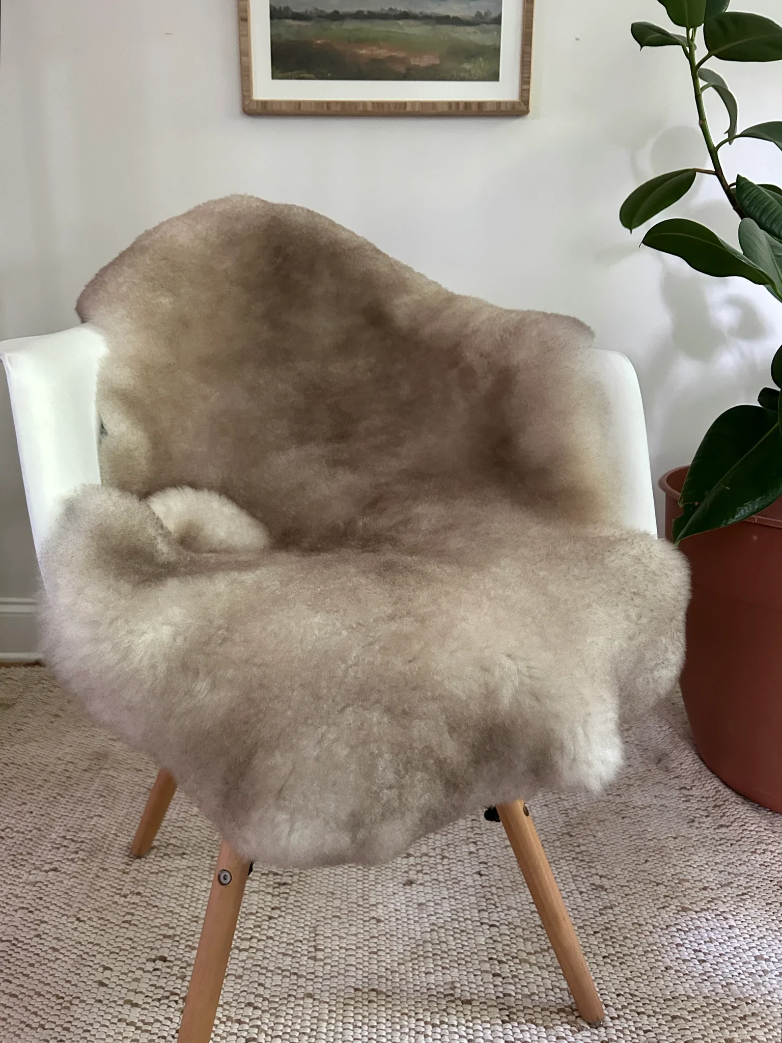 Greyish Brown Shortfur Sheepskin - Image 3