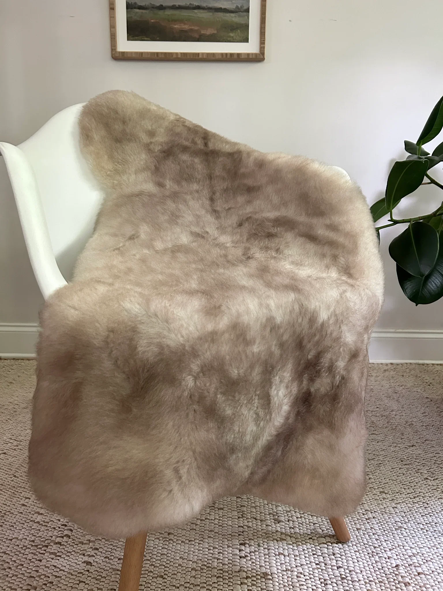 Greyish Brown Shortfur Sheepskin - Image 6