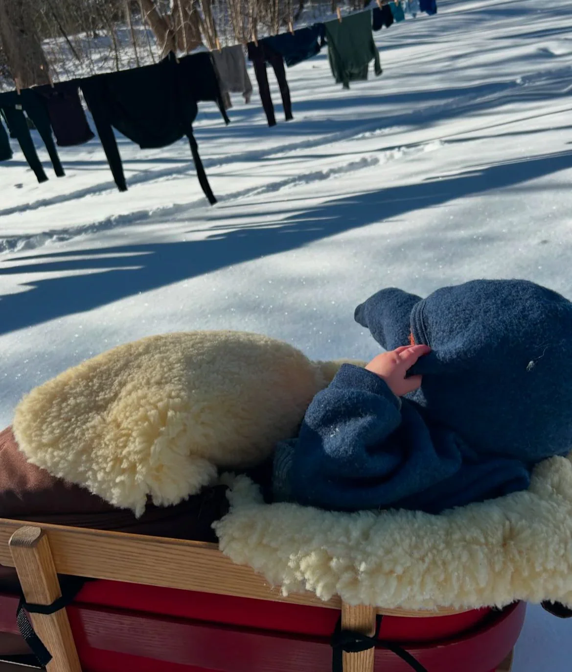 Medical Sheepskin Baby / Toddler Sleeping Bag - Image 6