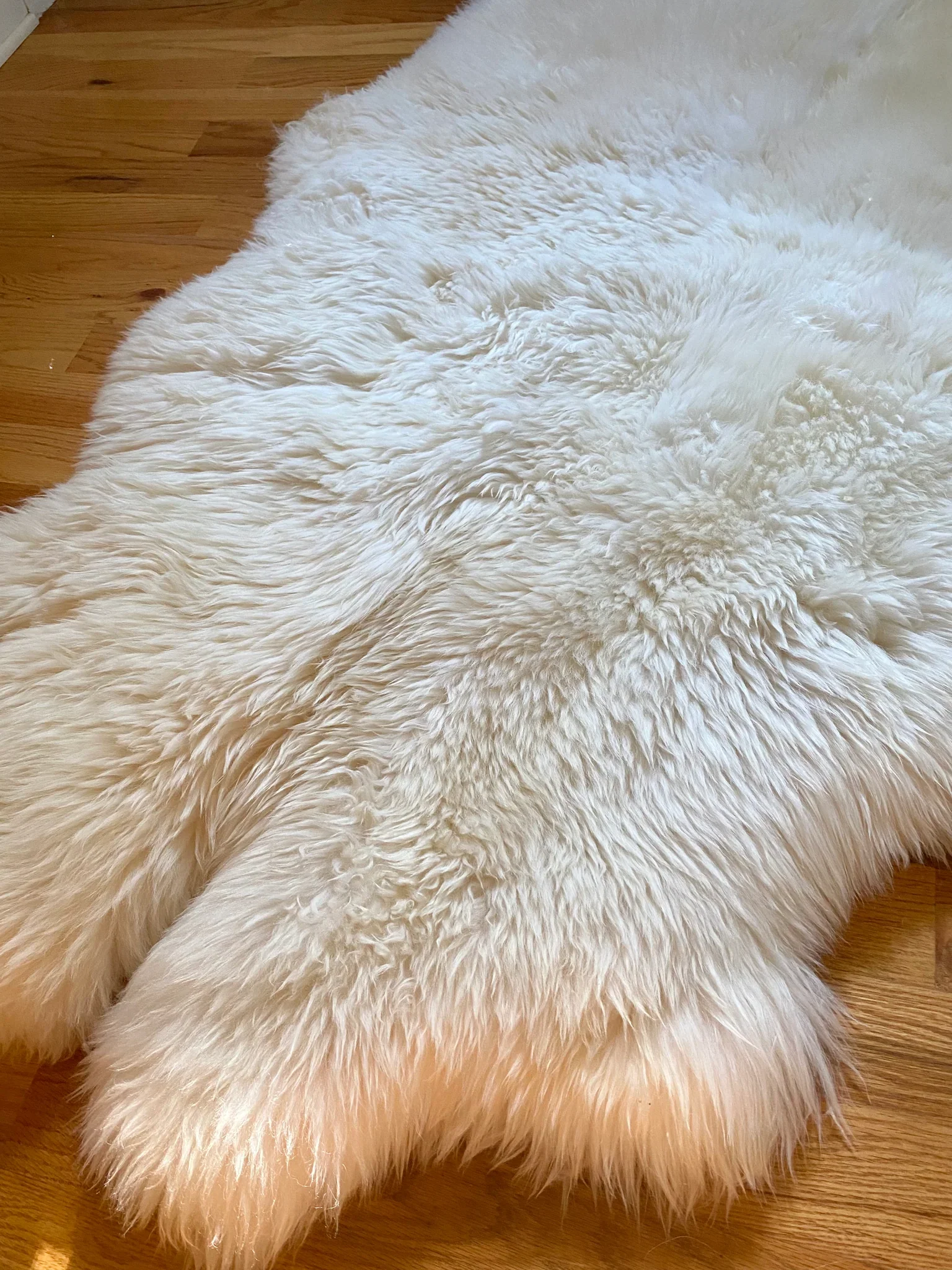Plush Quad (4-Pelt) Ivory Sheepskin - Image 5
