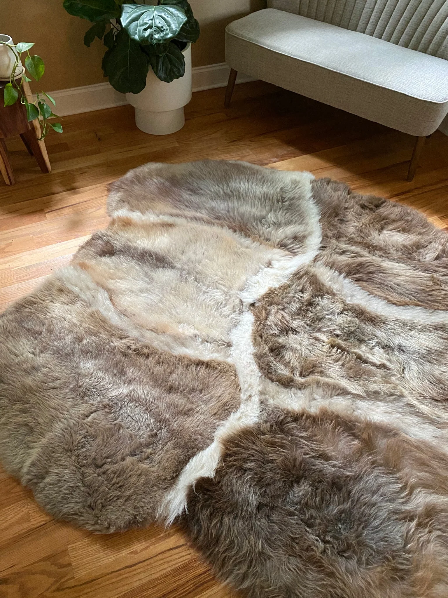 Sacred Spaces Collection: Asymmetrical Stripes - Image 3