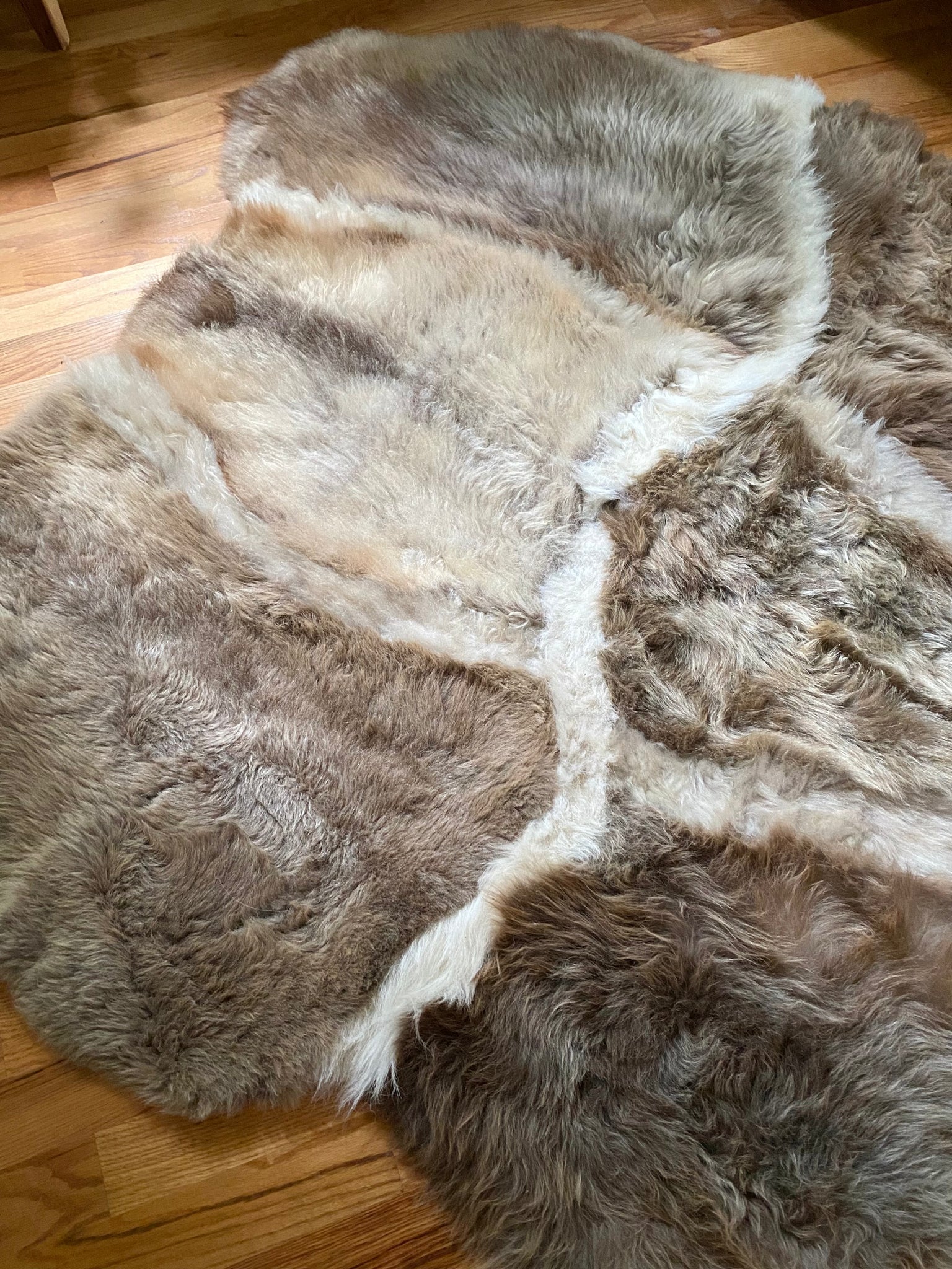 Sacred Spaces Collection: Asymmetrical Stripes - Image 4