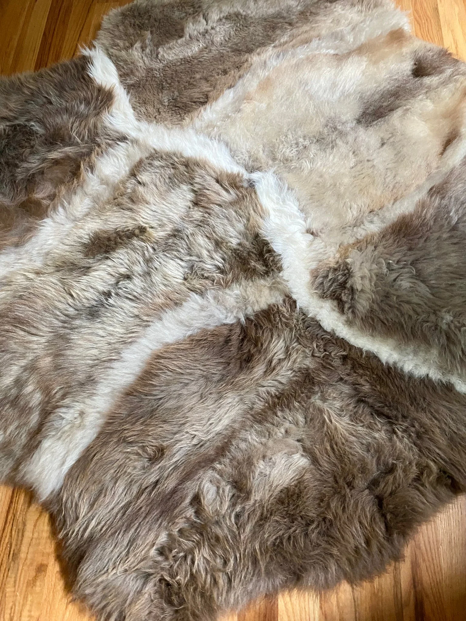 Sacred Spaces Collection: Asymmetrical Stripes - Image 6