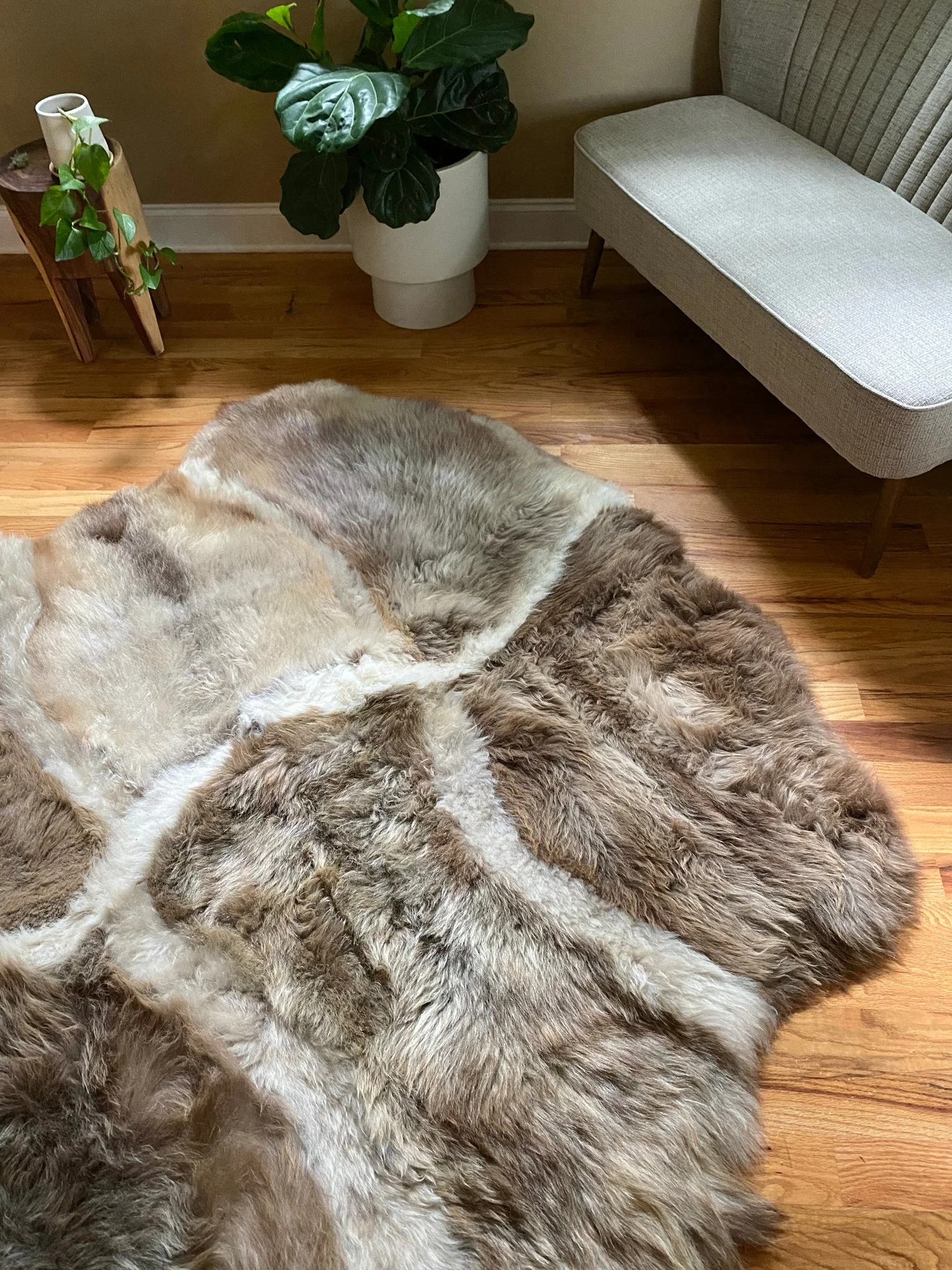 Sacred Spaces Collection: Asymmetrical Stripes - Image 7