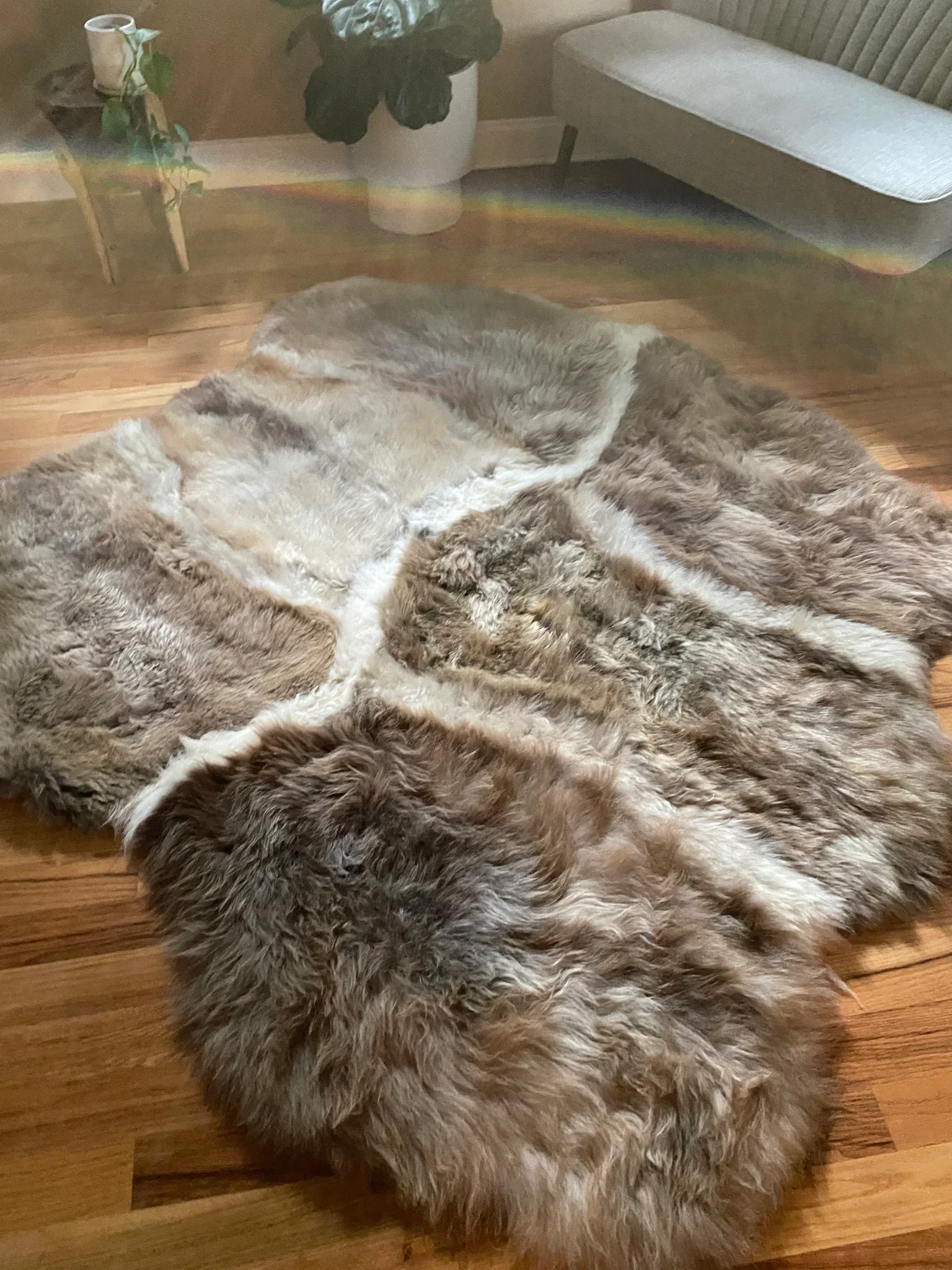 Sacred Spaces Collection: Asymmetrical Stripes - Image 8