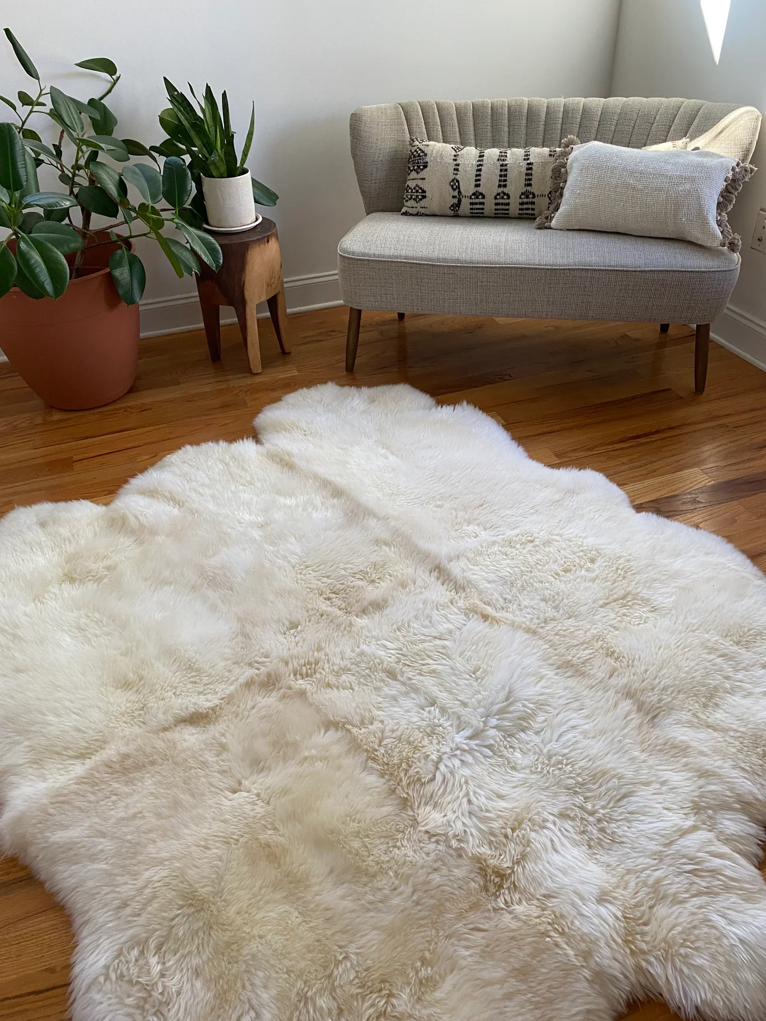 Sacred Spaces: Plush Ivory Sexto - Image 5