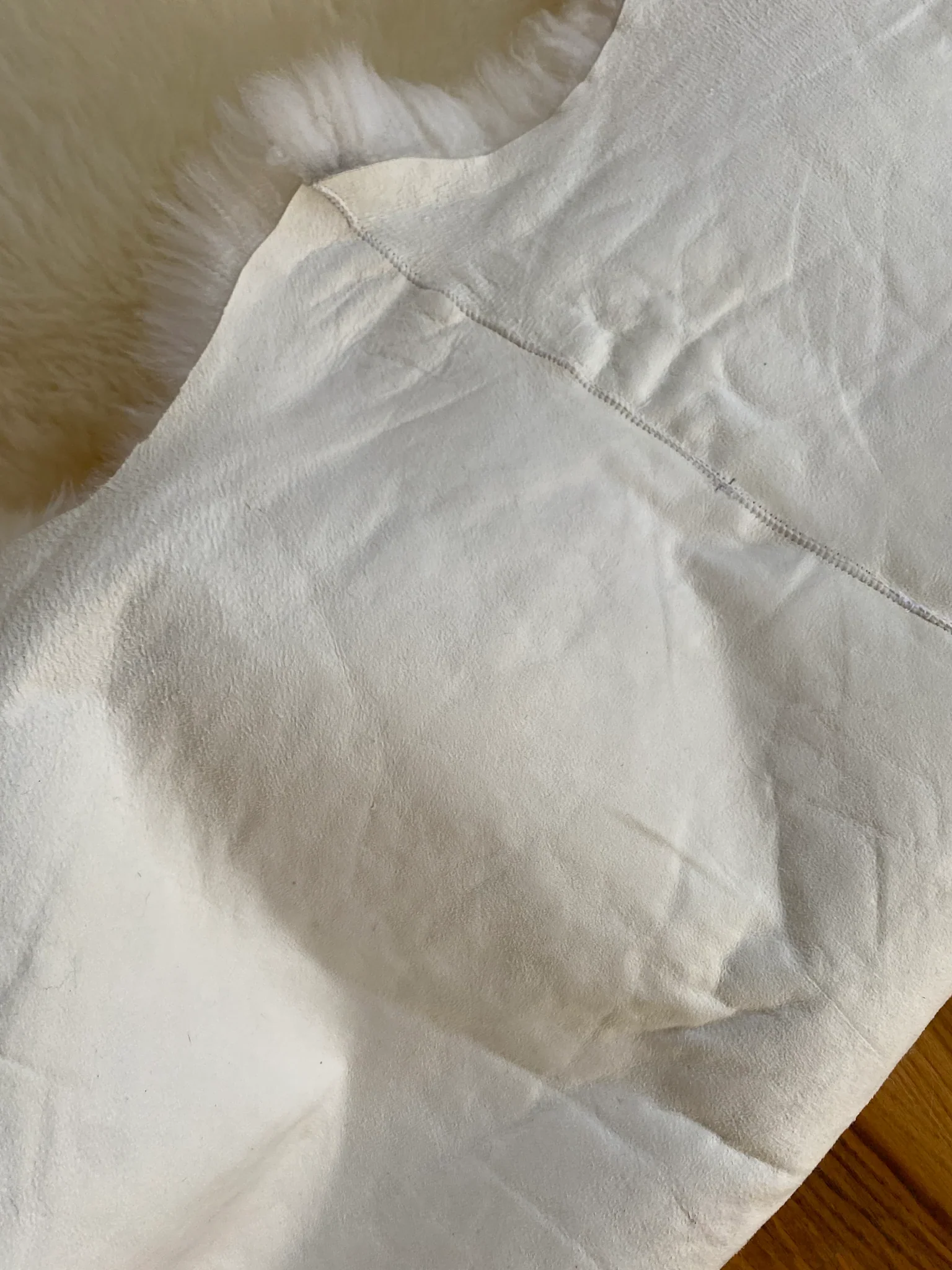 Sacred Spaces: Plush Ivory Sexto - Image 6