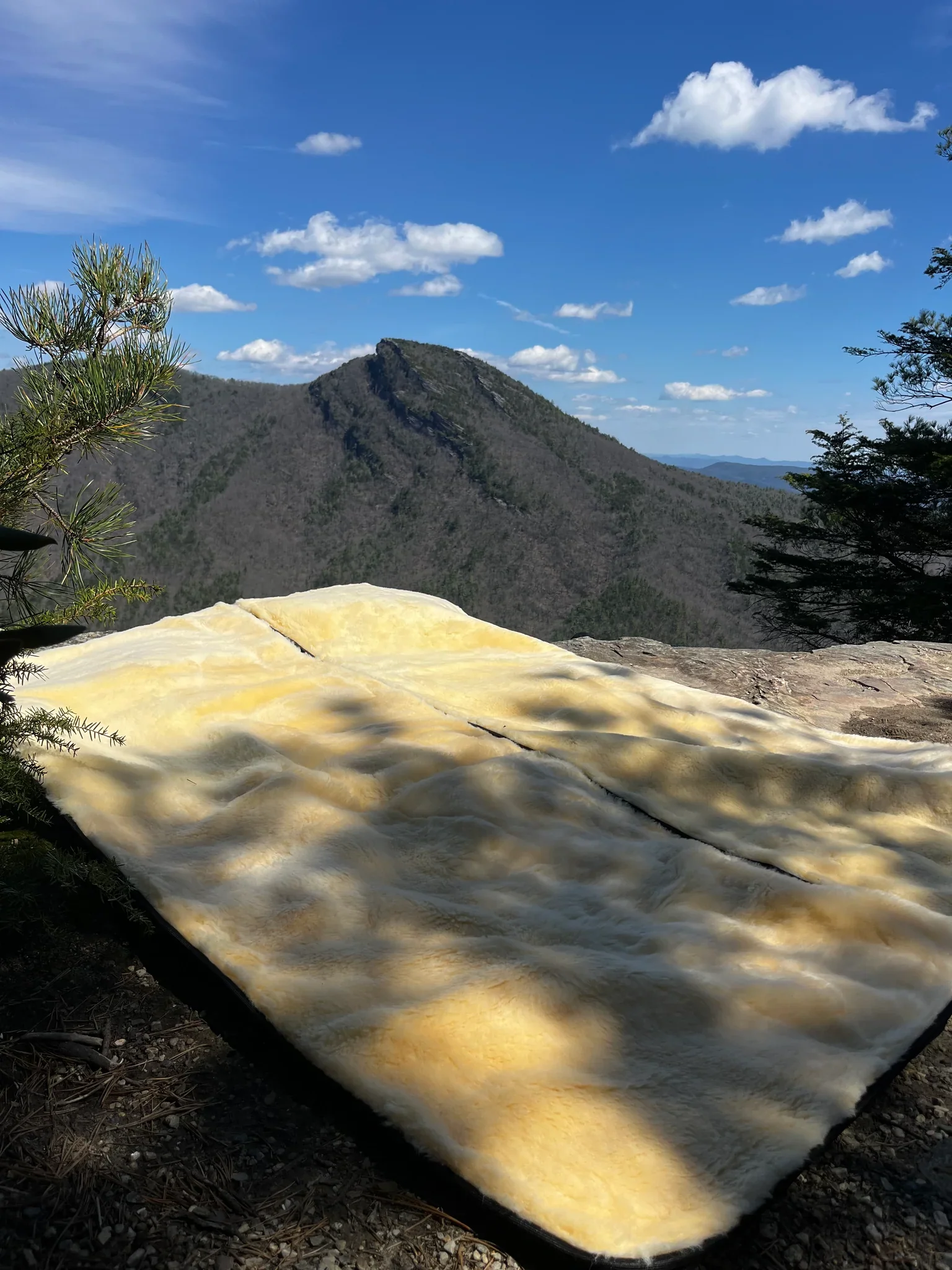 Sheepskin Sleeping Bag - Image 3