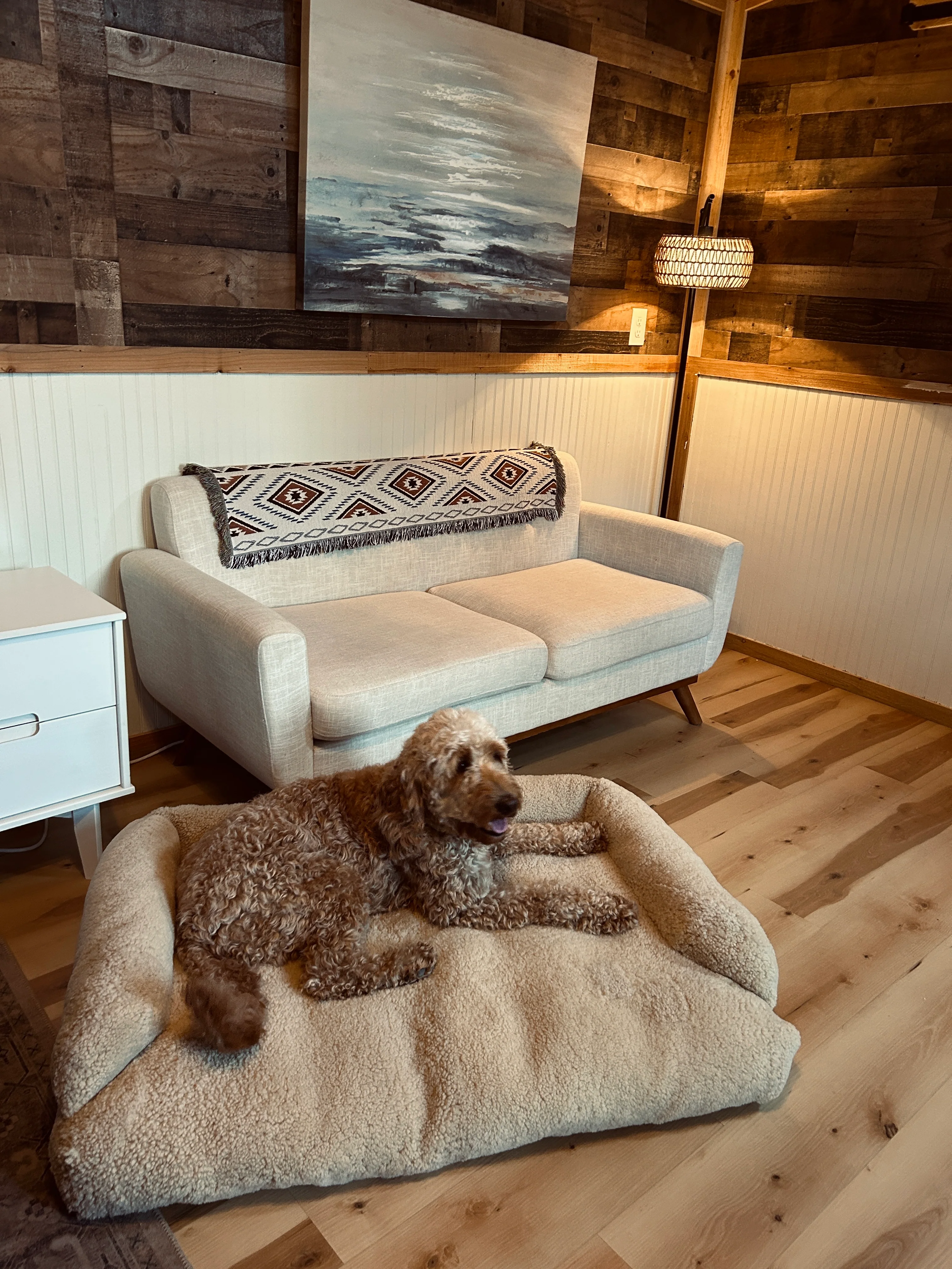 Best-Seller Dog Beds