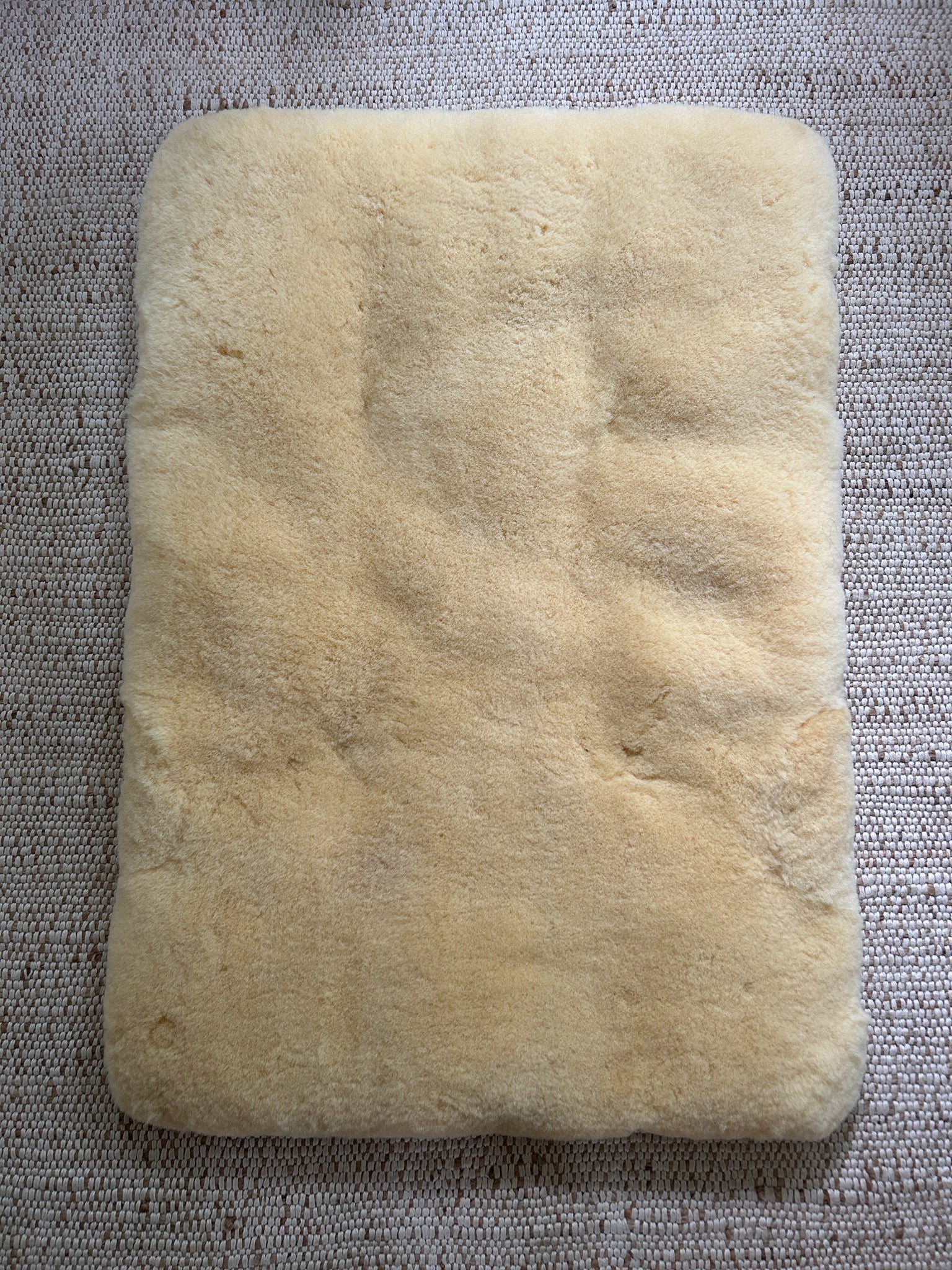 The PupPad - Image 10