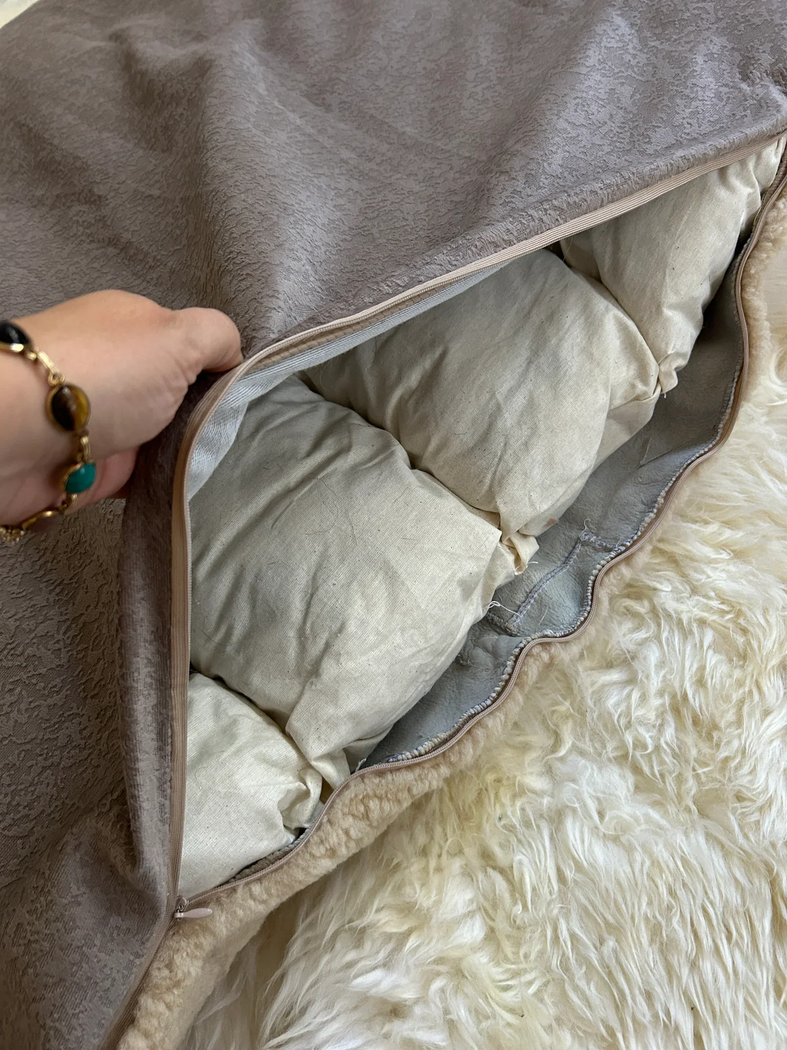 The PupPad - Image 6