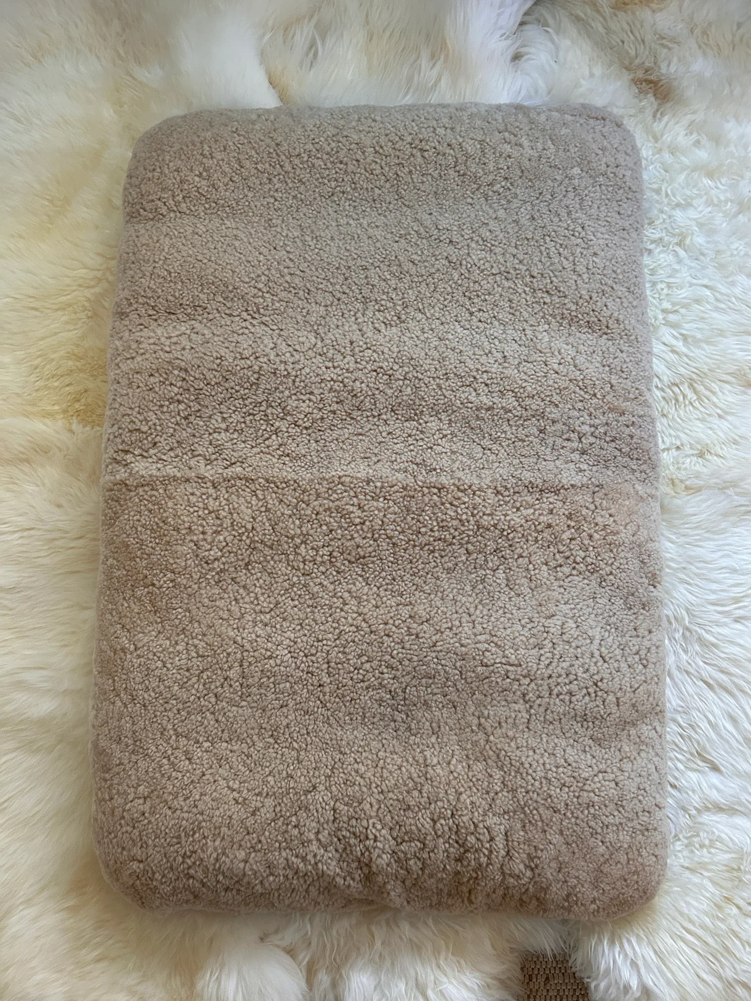 The PupPad - Image 9