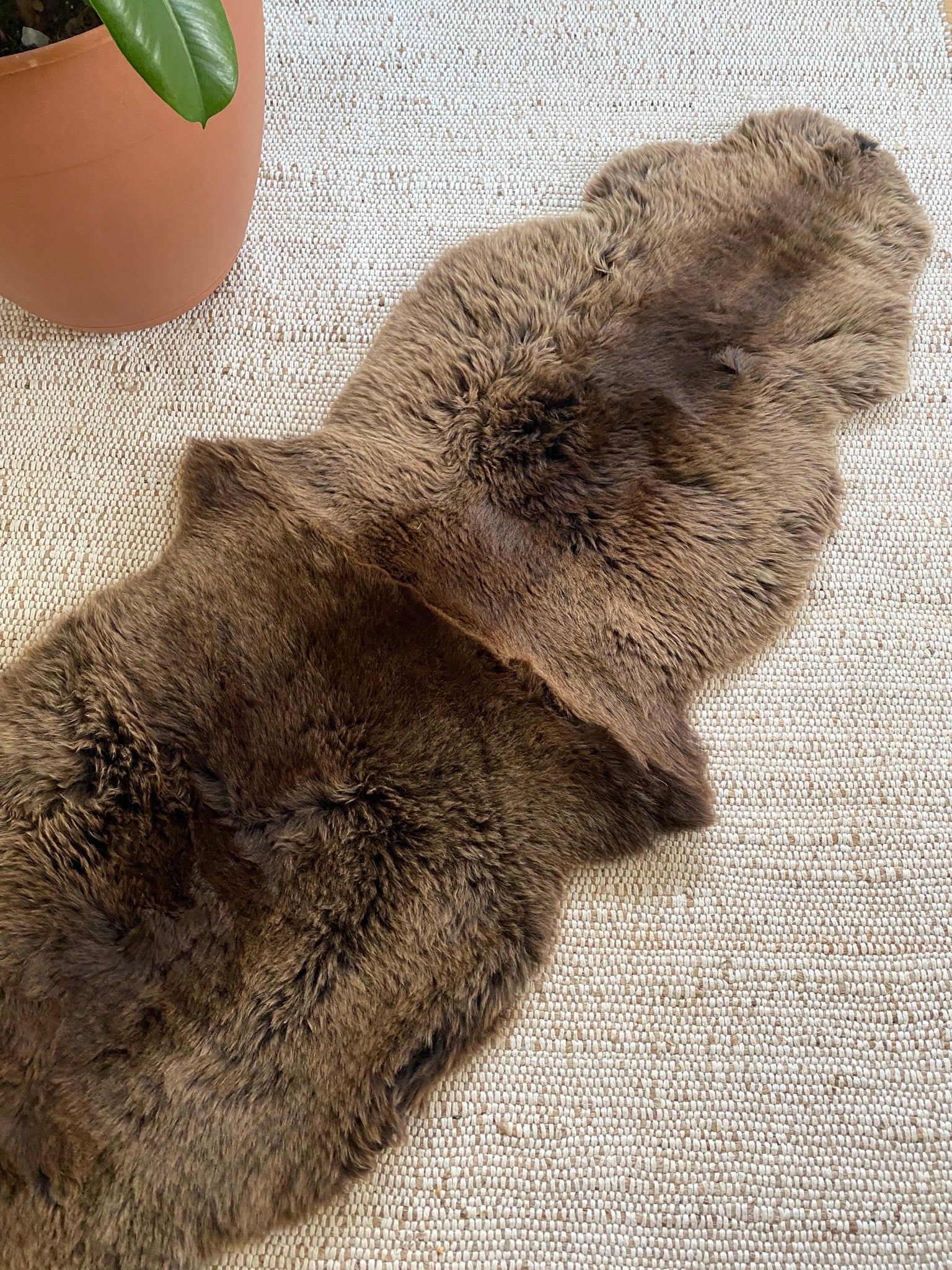 Vibrant Brown Double Sheepskin - Image 3